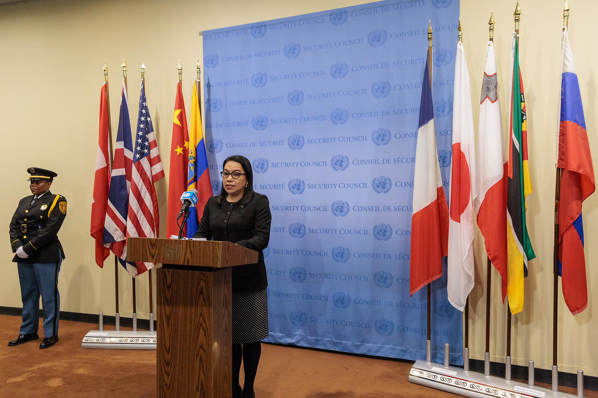 Ambassador Carolyn Rodrigues-Birkett delivering statement