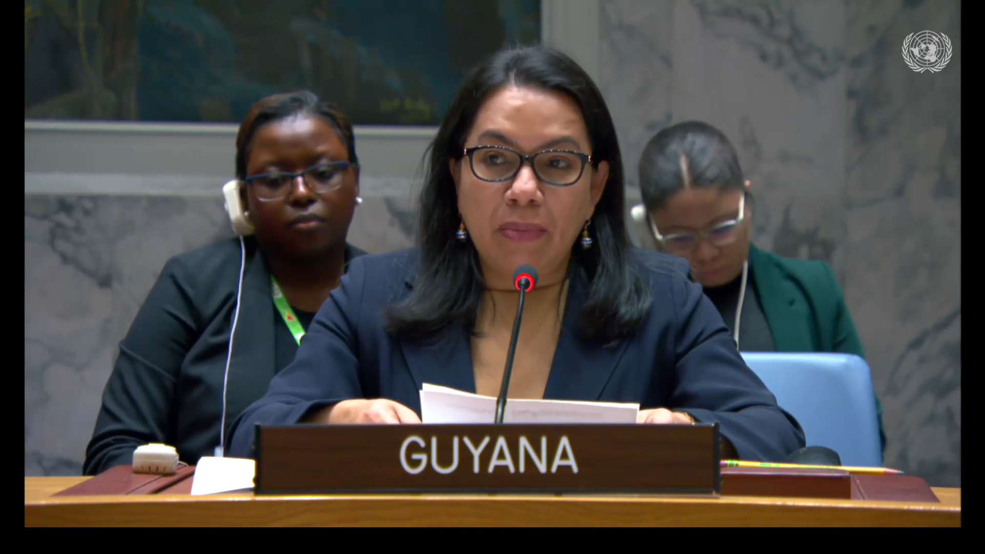 Amb. Carolyn Rodrigues Birkett delivering statement at UNSC Meeting on Ukraine