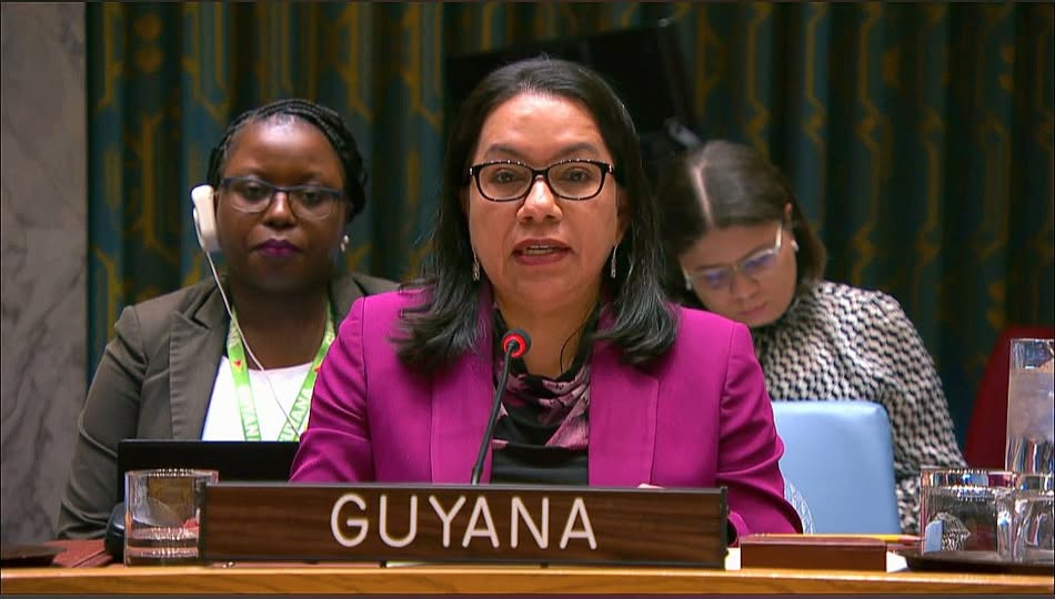 Her Excellency Carolyn Rodrigues-Birkett