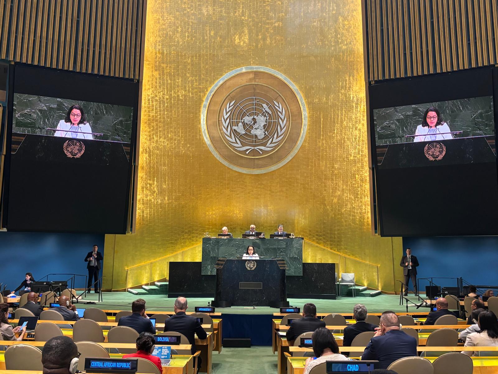 Amb. Carolyn Rodrigues Birkett delivering statement at UNGA meeting on 80th anniversary of signing of UN Charter