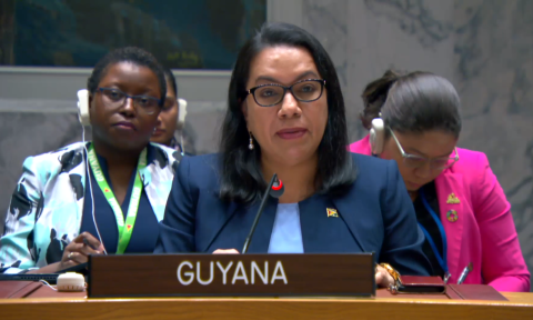 Her Excellency Carolyn Rodrigues-Birkett, Permanent Representative of the Co-operative Republic of Guyana to the United Nations at the 9526th meeting of the UN Security Council on the Maintenance of Peace and Security of Ukraine