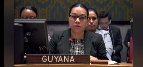 Her Excellency Carolyn Rodrigues-Birkett