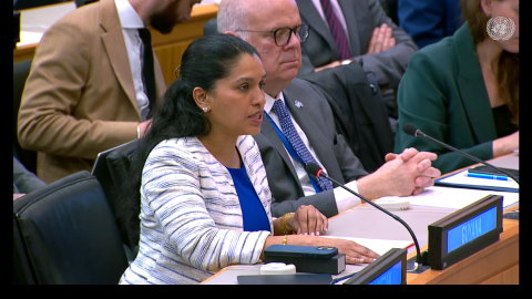 Amb. Trishala Persaud delivering statement at UNSC Arria-Formula meeting on Small Arms Control and Weapons Management in UN Sanctions Regimes