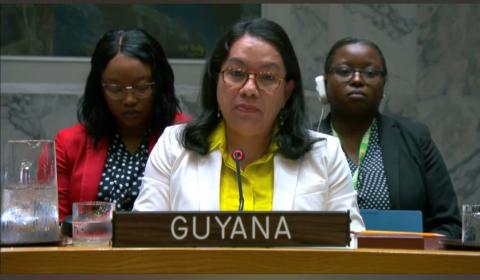 H.E. Carolyn Rodrigues-Birkett 