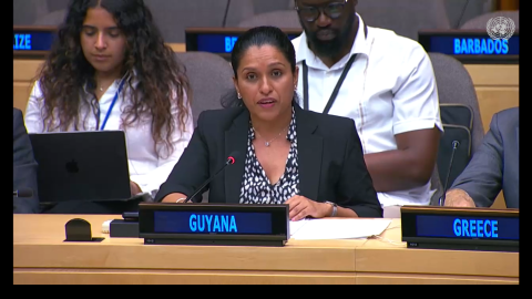 Amb. Trishala Persaud delivering statement at UNSC Arria-Formula meeting on the Global Race for Critical Minerals: Addressing Resource-Driven Insecurity in Africa